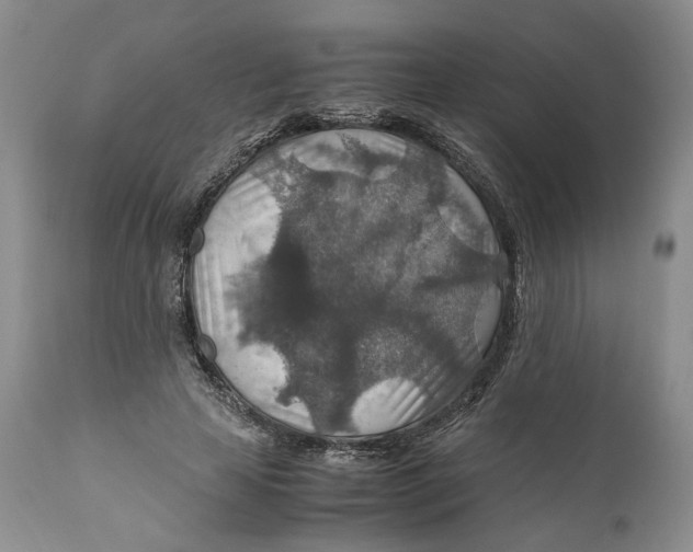 X0000110930641200907091521