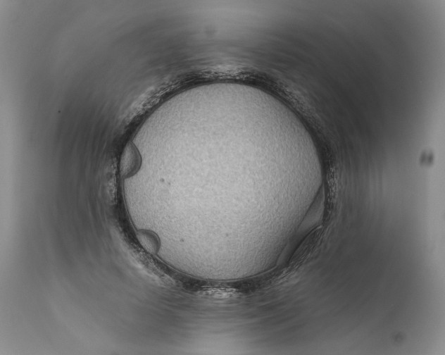 X0000110930642200907091521