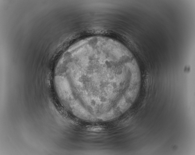 X0000110930643200907091521