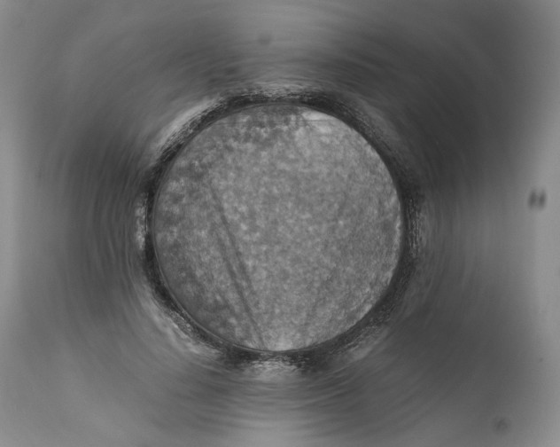 X0000110930644200907091521