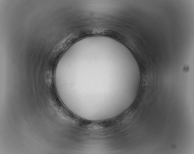 X0000110930648200907091522