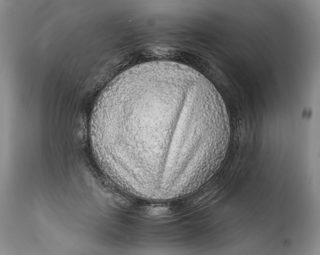 X0000110930651200907091522