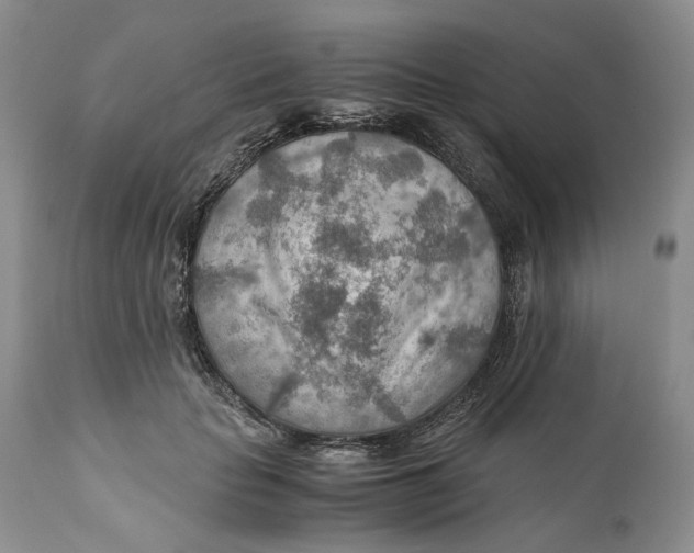X0000110930653200907091522