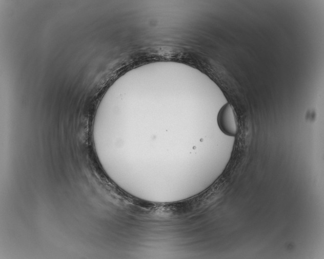 X0000110930656200907091522