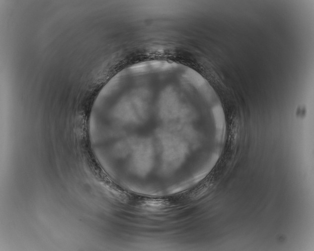 X0000110930659200907091522