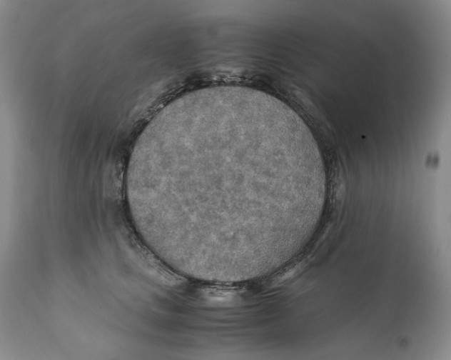 X0000110930661200907091522