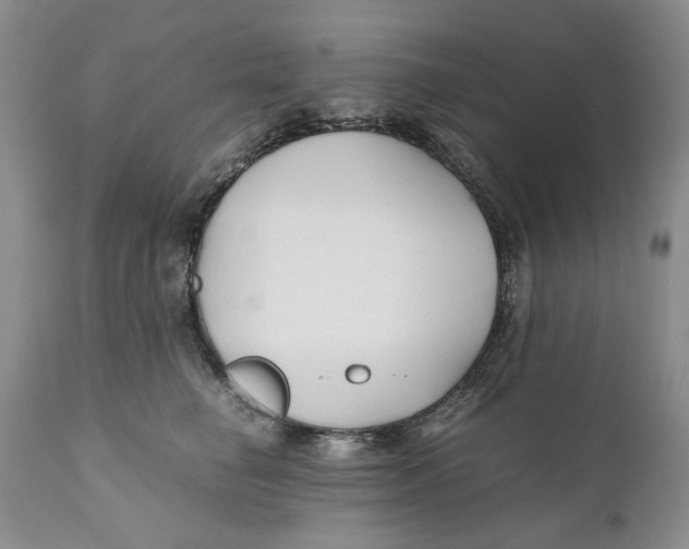 X0000110930662200907091522
