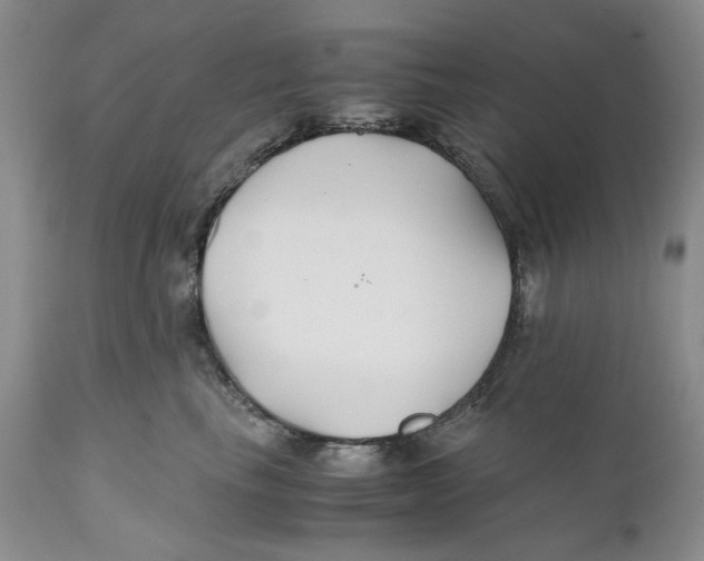 X0000110930665200907091522