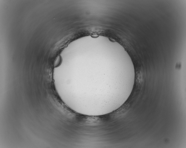 X0000110930666200907091522
