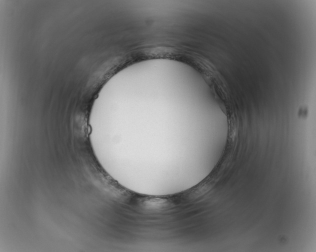 X0000110930669200907091522