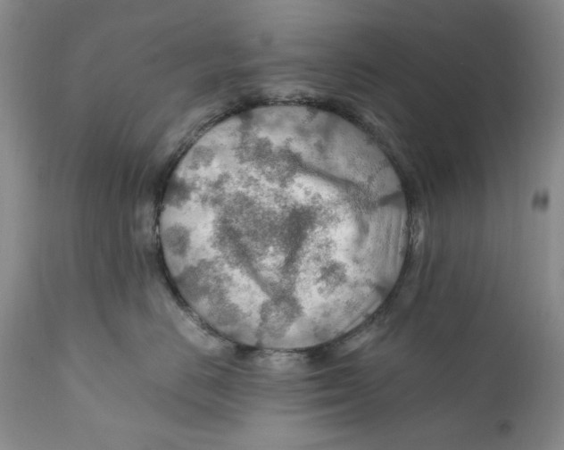 X0000110930670200907091522