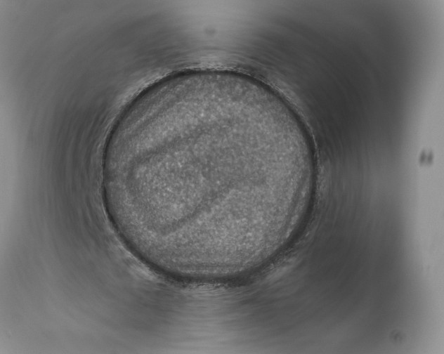 X0000110930673200907091521