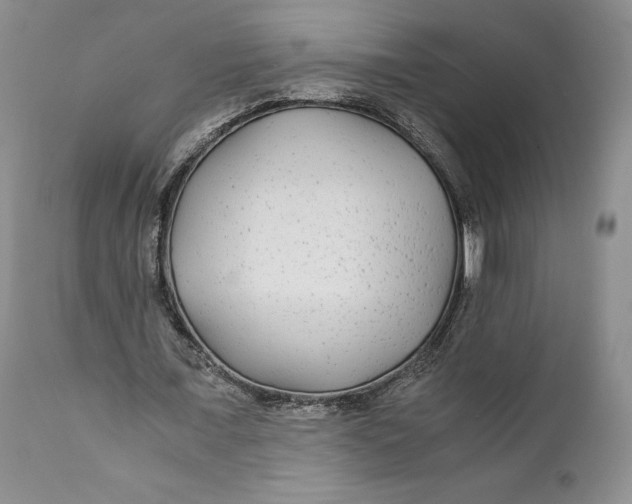 X0000110930675200907091521