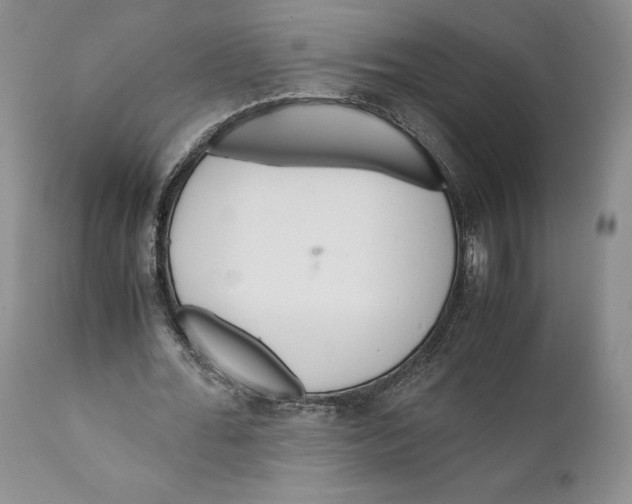 X0000110930676200907091521