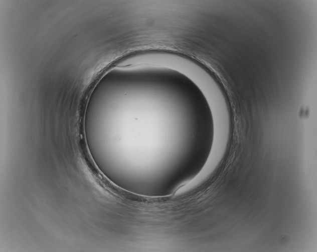 X0000110930677200907091521