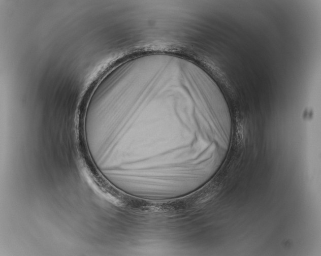 X0000110930678200907091521