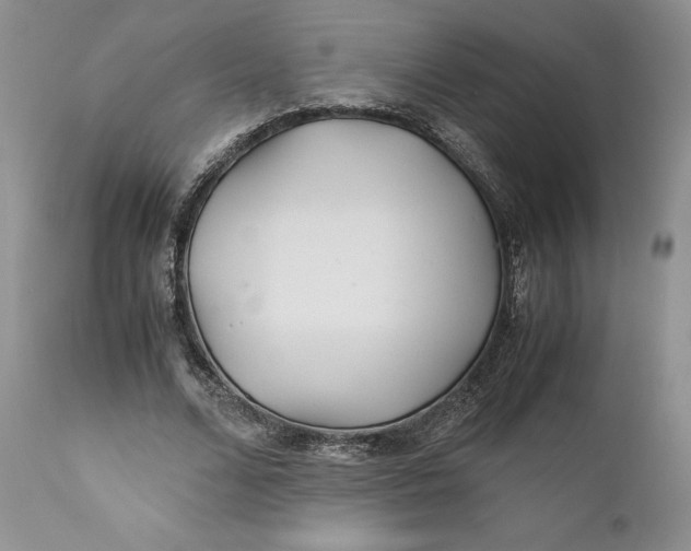 X0000110930680200907091521