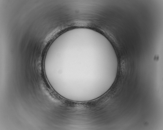 X0000110930682200907091521