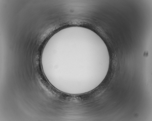 X0000110930683200907091521