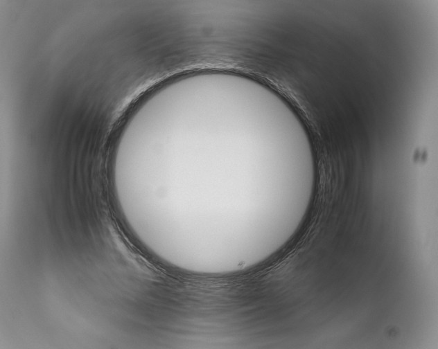 X0000110930684200907091521