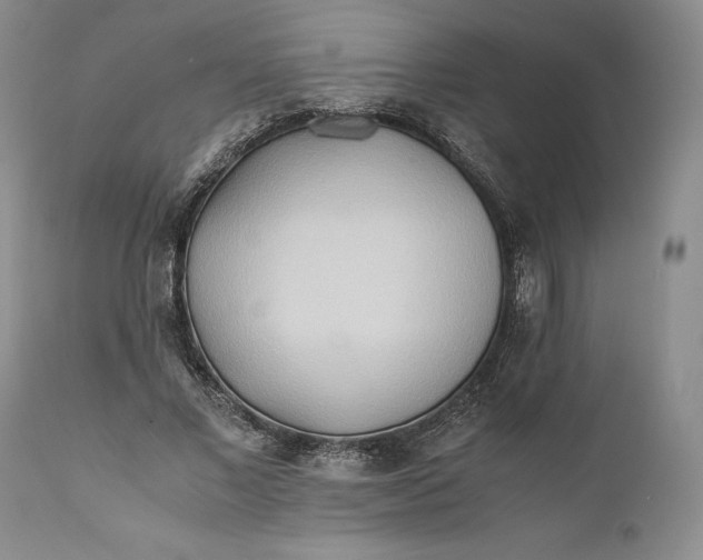 X0000110930685200907091521