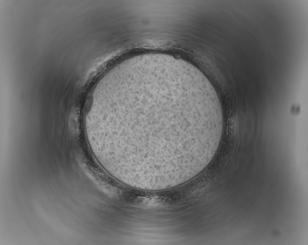 X0000110930688200907091521