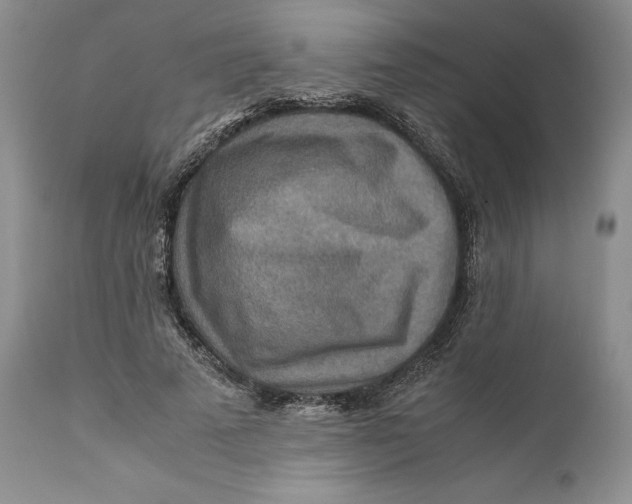 X0000110930689200907091521