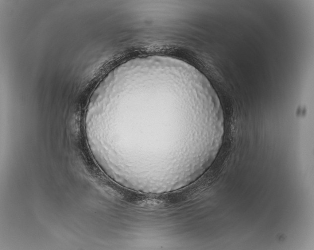 X0000110930691200907091521