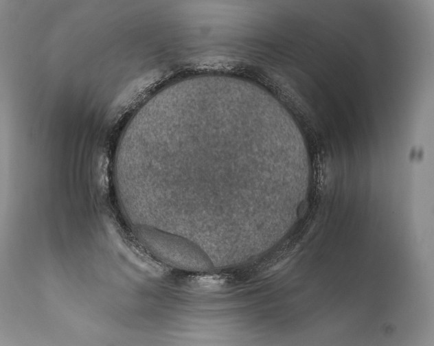 X0000110930692200907091521