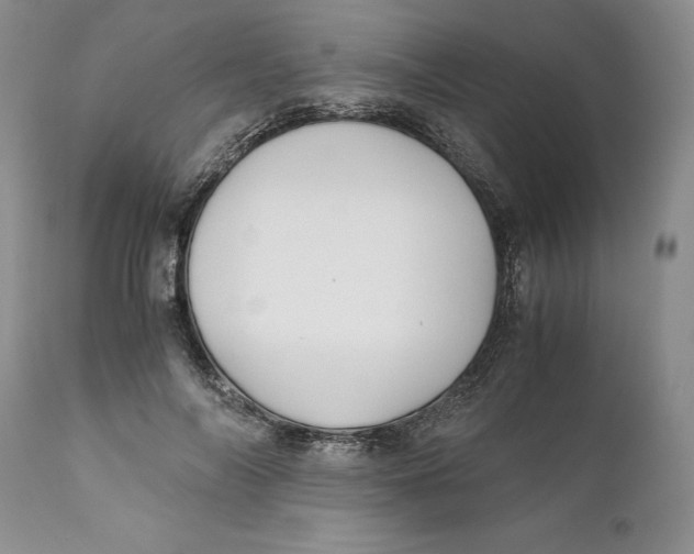 X0000110930694200907091521