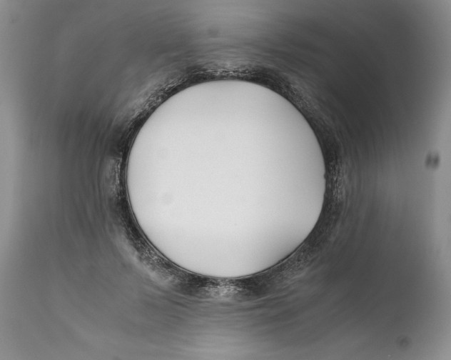 X0000110930695200907091521