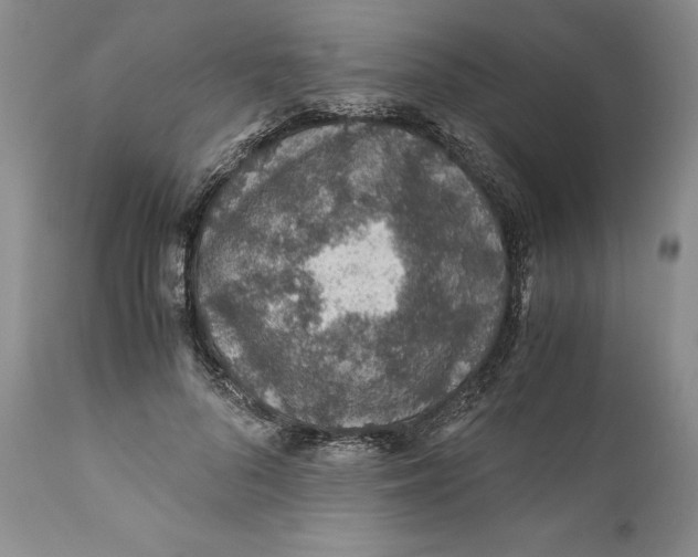 X0000110930696200907091521