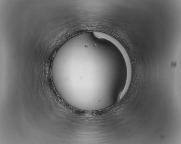 X0000110930697200907091521