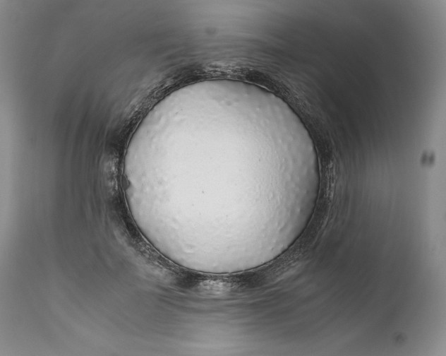 X0000110930699200907091521