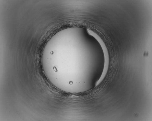 X0000110930701200907091521