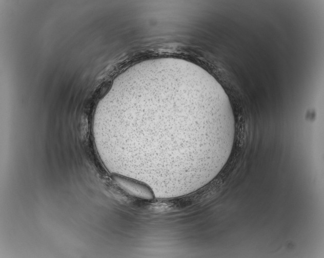 X0000110930704200907091521