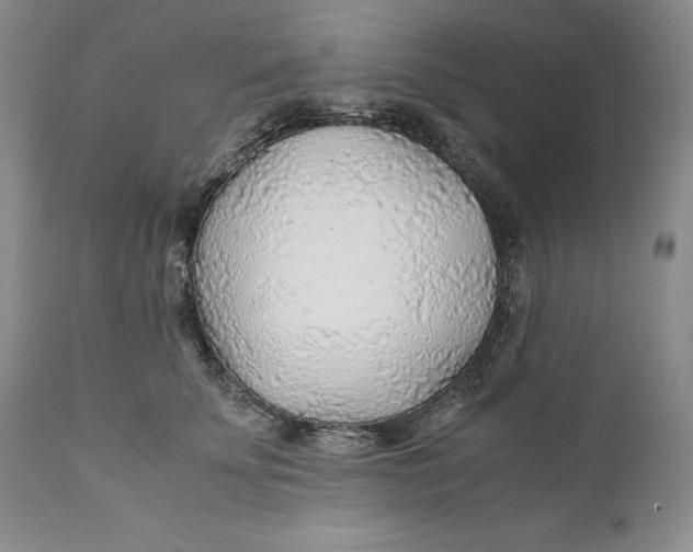 X0000110930707200907091521