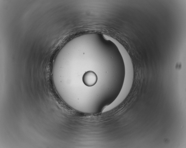 X0000110930708200907091521