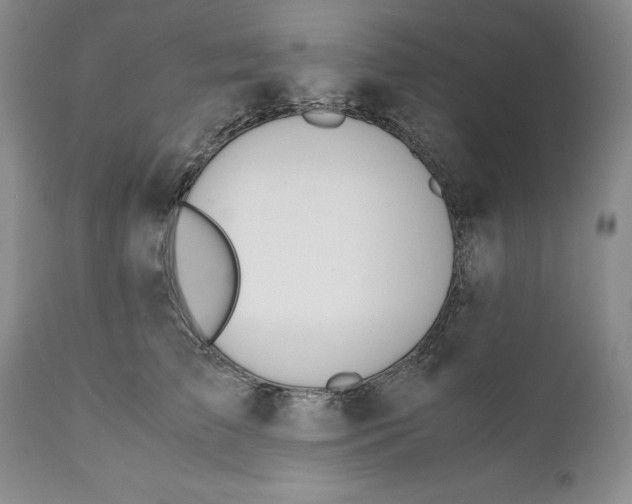 X0000110930709200907091521