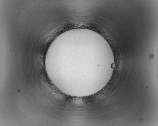X0000110930710200907091521