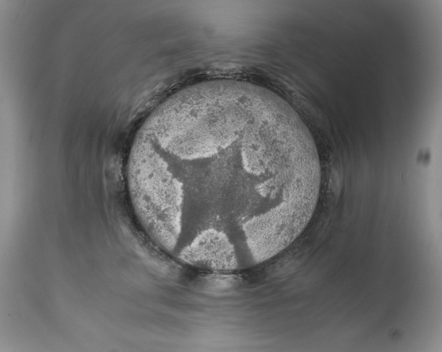 X0000110930711200907091521