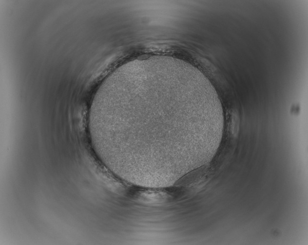 X0000110930712200907091521