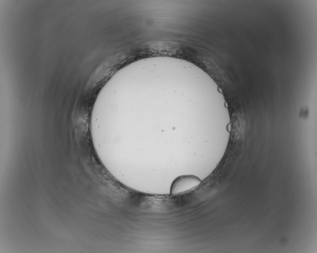 X0000110930713200907091521