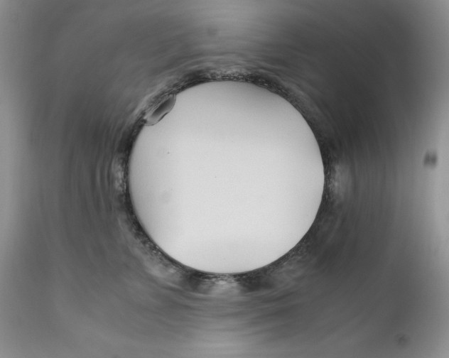 X0000110930715200907091521