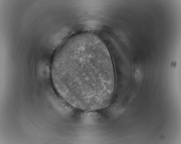 X0000110930716200907091521