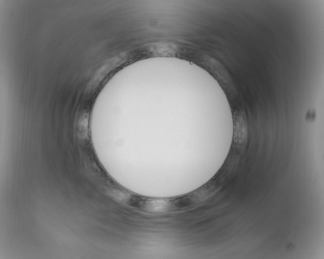 X0000110930717200907091521