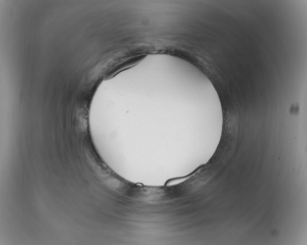 X0000110930719200907091521