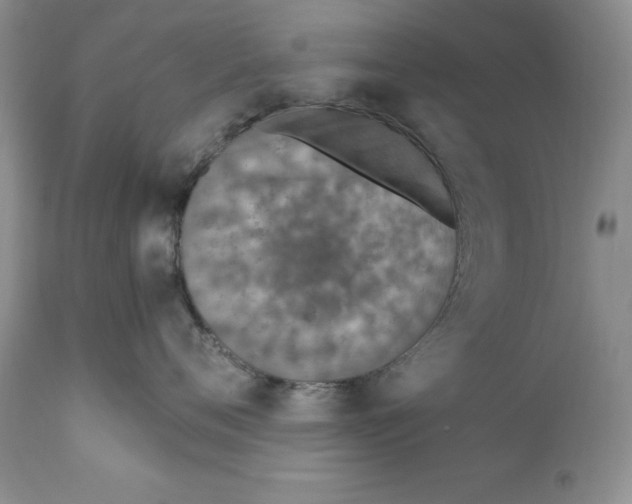 X0000110930720200907091521