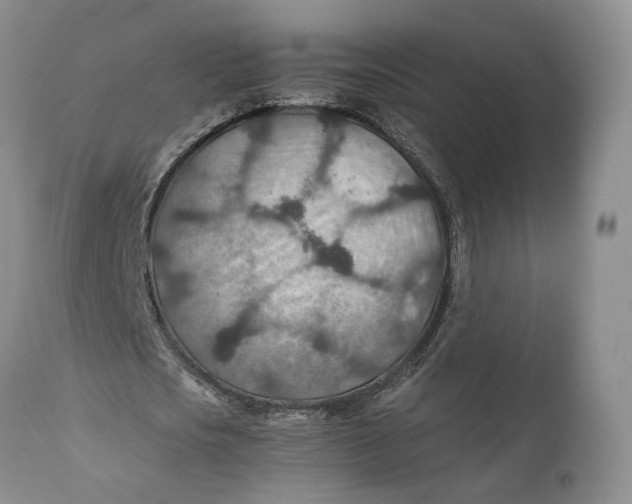 X0000110930721200907091520