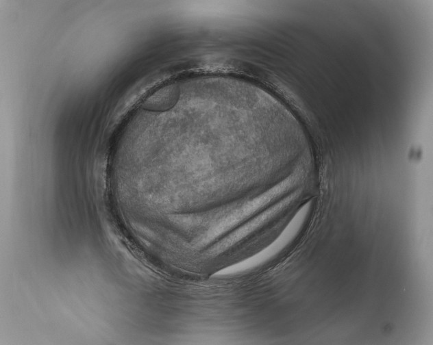 X0000110930722200907091520